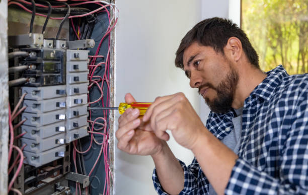 Best Electric Panel Repair  in Hillsboro, WI